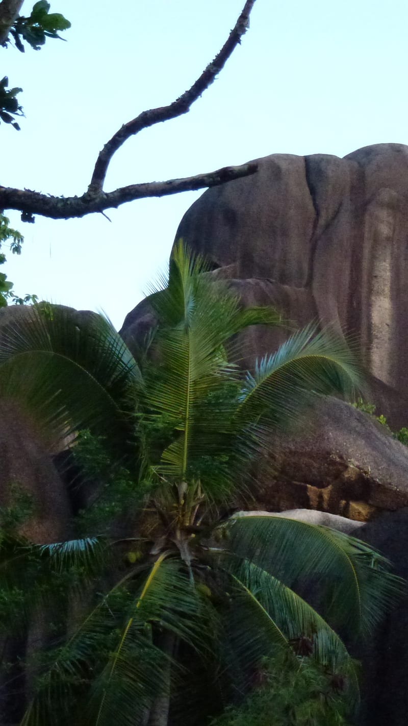 Anse Source d'Argent.