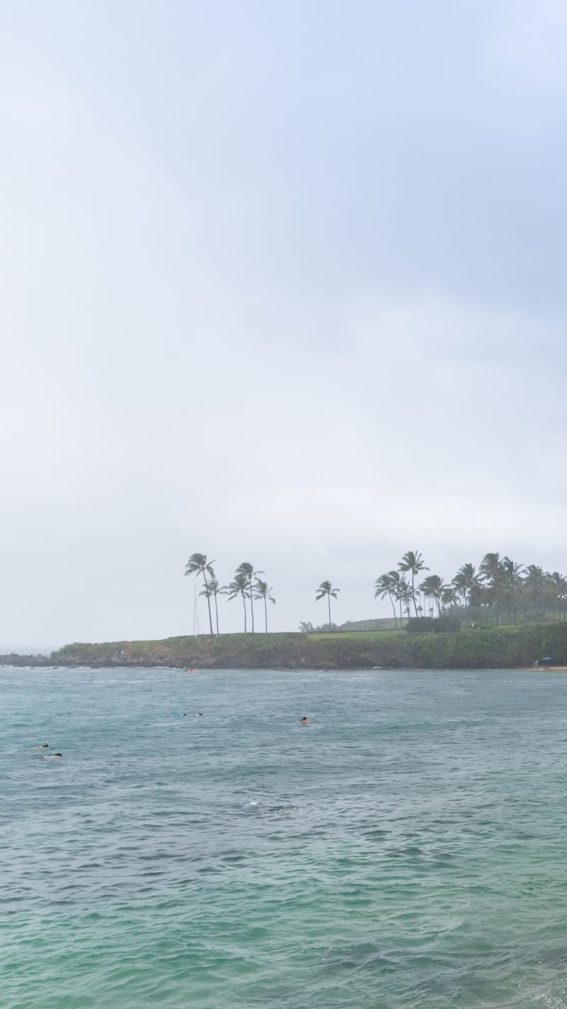Kapalua Bay.
