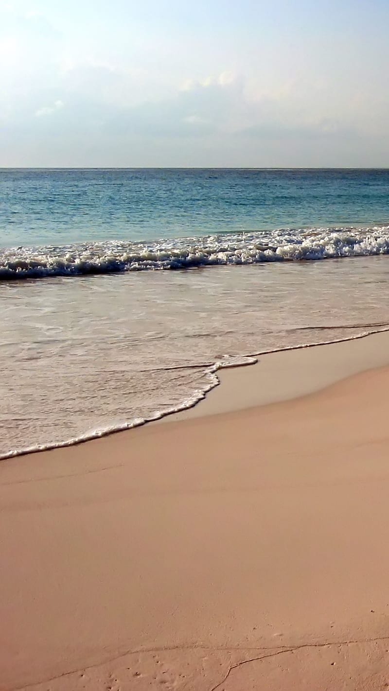 Pink Sands Beach.