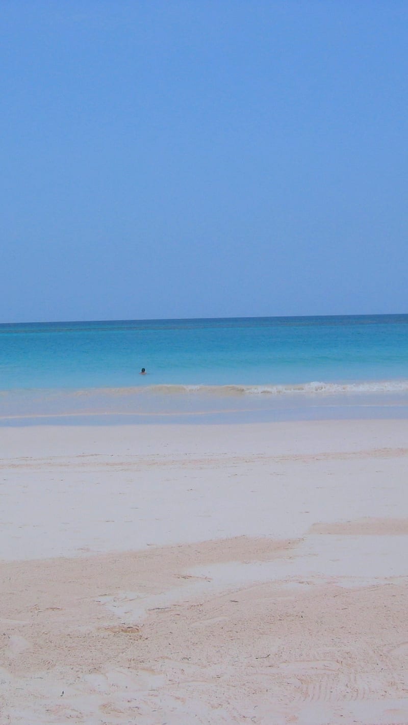 Pink Sands Beach.
