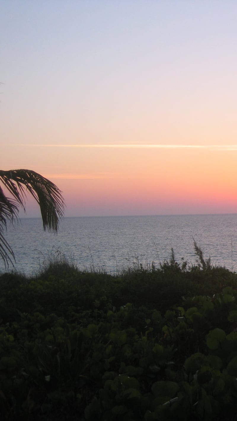 Pink Sands Beach.
