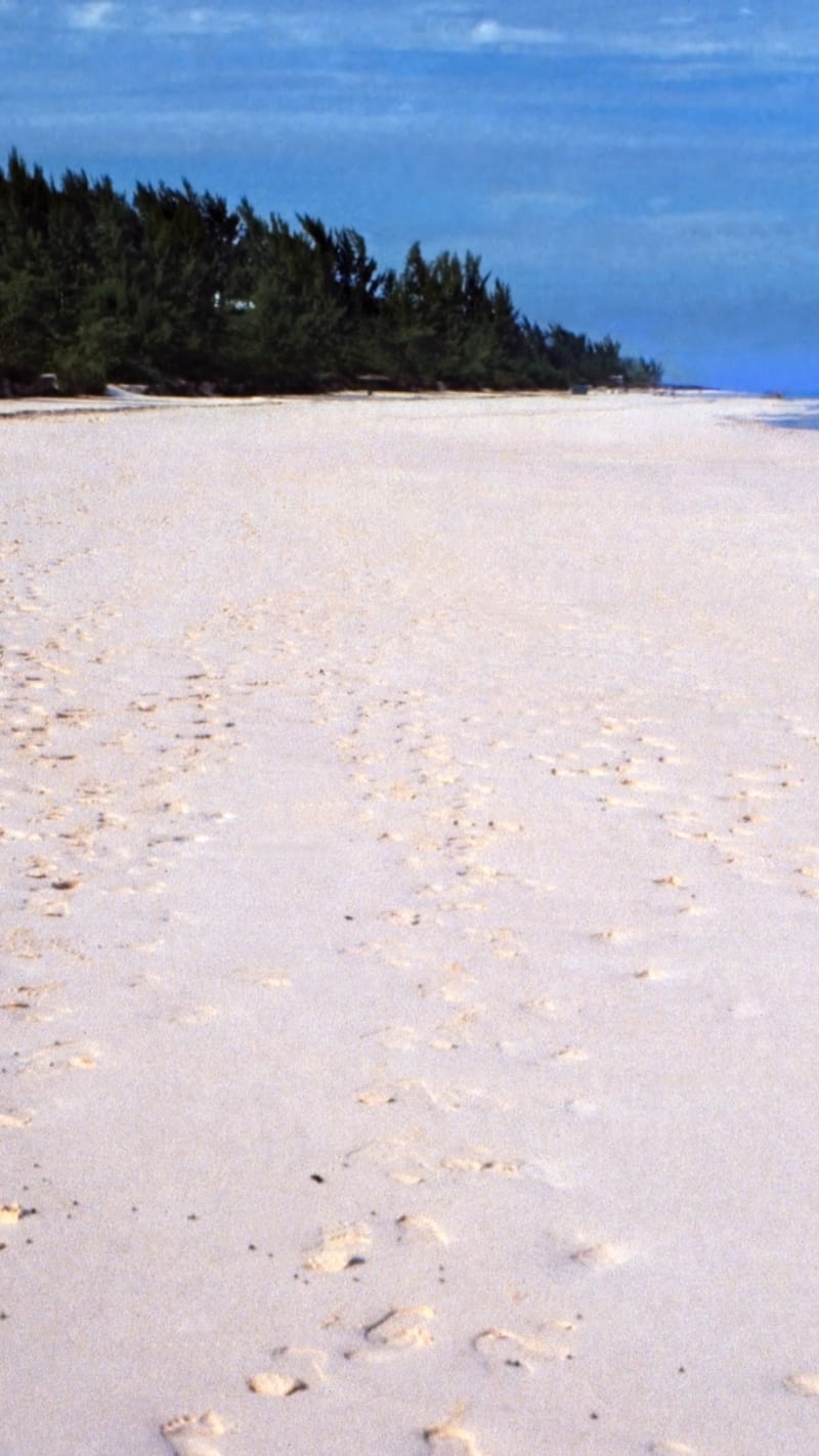 Pink Sands Beach.