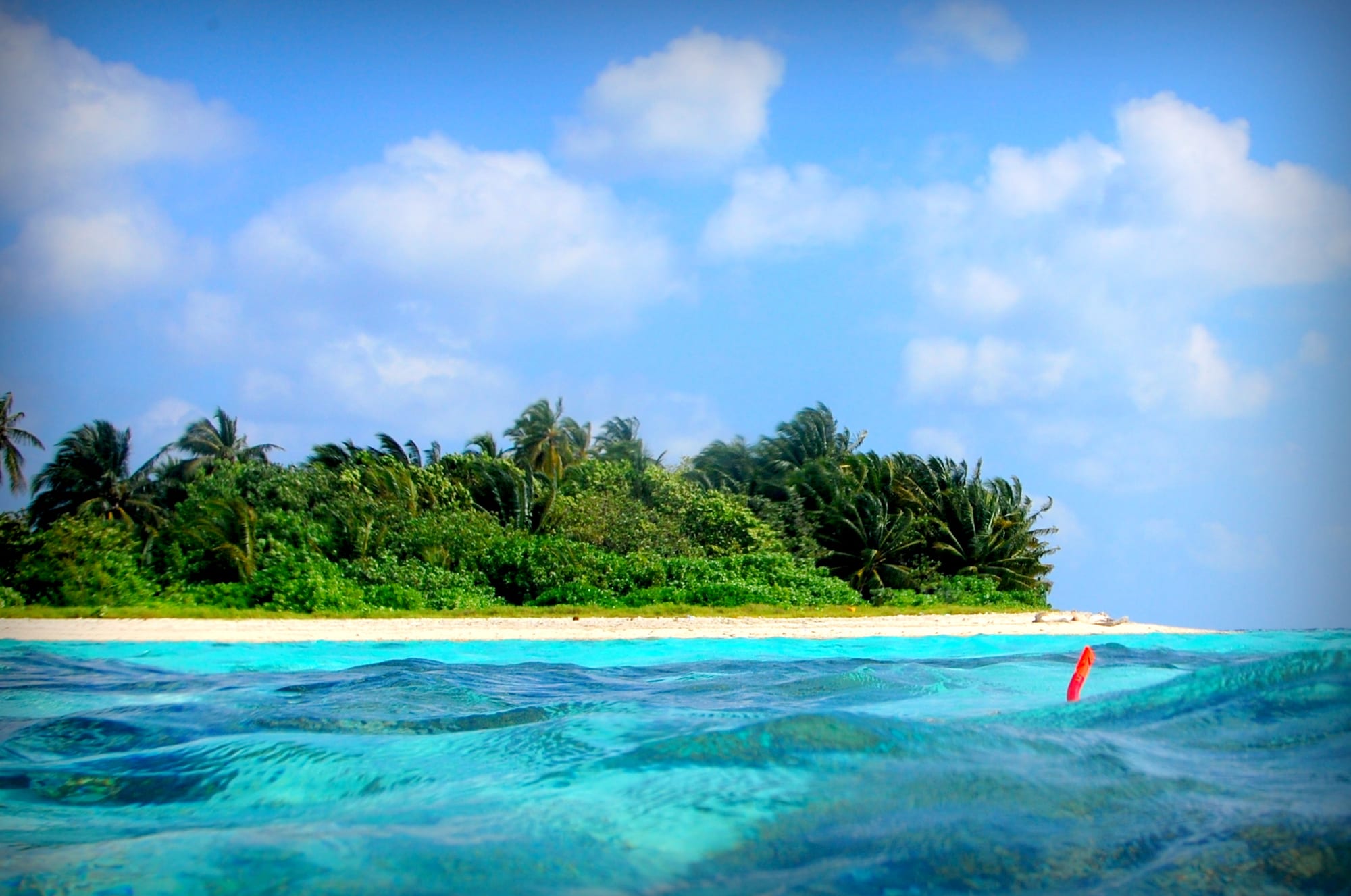 Rakeedhoo Bikini Beach, Vaavu Atoll, Maldives